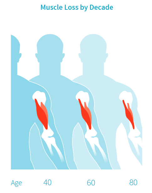 Fight Muscle Loss.