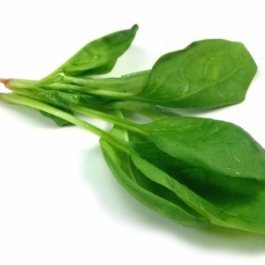Spinach