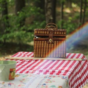 Attending a picnic